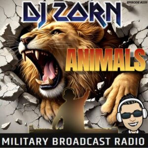 djzorn.com